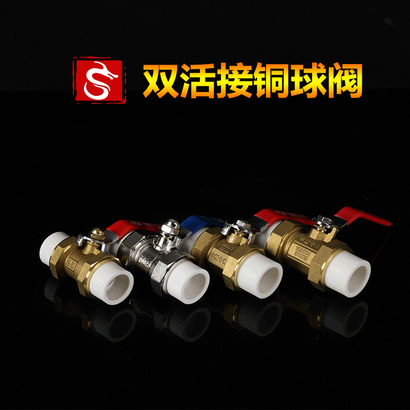 厂家货源ppr双活接铜球阀  ppr铜球阀 水暖配件工程用 圆体方体