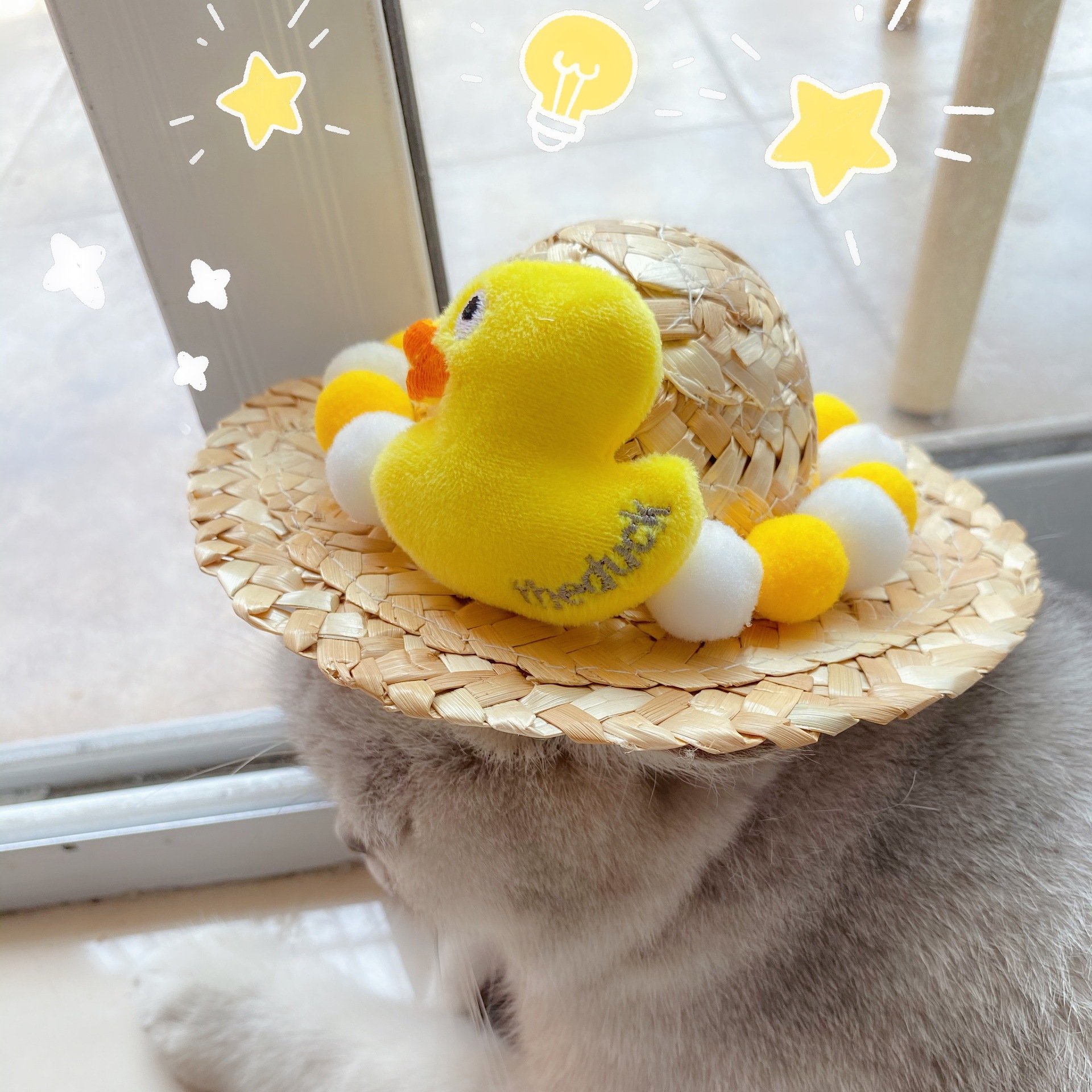 Mascota gato perro conejo sombrero de paja de verano de dibujos animados amarillo pato bola brote de frijol lindo mascota decorativa Red sombrero rojo accesorios de tiro