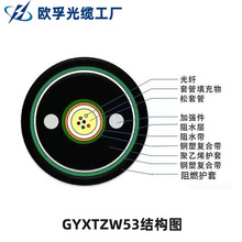 �W��GYXTZW53-6B1�p�z�p�o�׵͟��o�u��ȼ 6о��ģֱ�������|