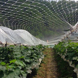 塑料网套;其他塑料网;铁丝网