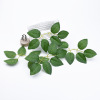 Factory spot Six Bulk Silk Seal Rose Leaf Flower Flower Insert Rose Decoration Leaf Simulation Shooting Bone Leaf