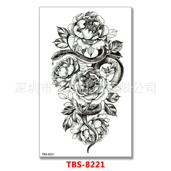 TBS-8221