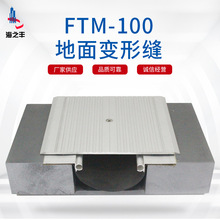 �S�ҹ�����s�p�ߘǵ��� �X�Ͻ�����w�� ����׃�οpFTM-100