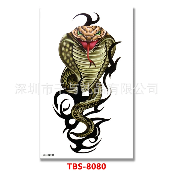 TBS-8080