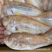 ����tɼ�~ ���~ 20��/�� �V�����l��Ҏ��t���~