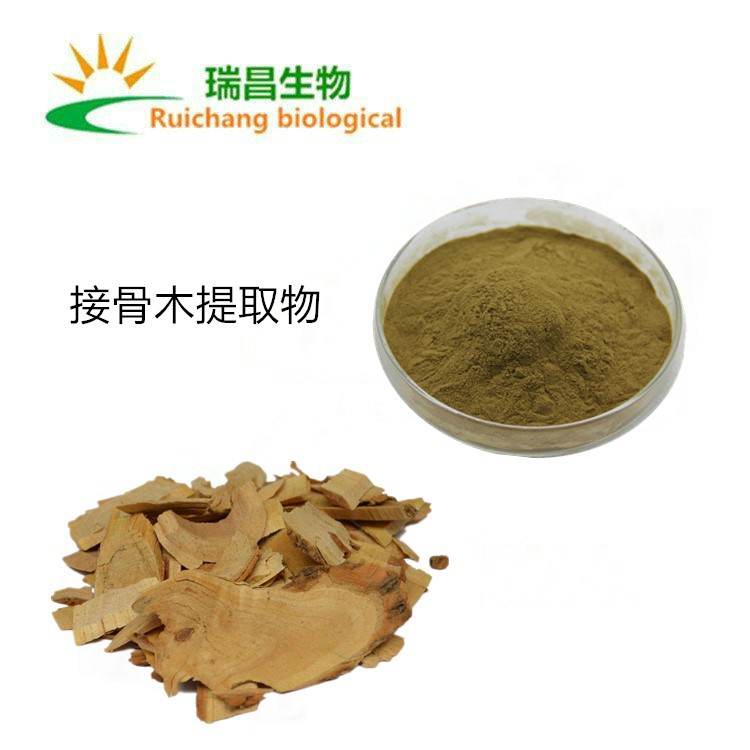 接骨木提取物 花色素甙 接骨木果粉 接骨木莓粉 接骨木浸膏粉