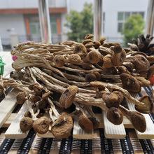 ���l �����乽 δ�_����¹��������a�ظ�؛500g