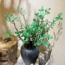 ��Ʒ�Ř��~��c�����b��X�~������N�~�Ƶ��e�^�G����÷�~���l