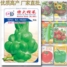 �ش�ե�˷N�� �o���� ����^ �o�ý�� ը�˷N�����l ���ԭ��