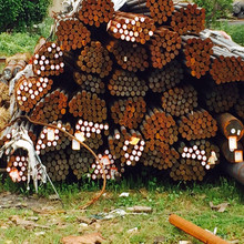 lP䓰022Cr19Ni5Mo3Si2N ĥ呈APl ǰ