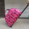 Suitcase, handheld luggage shoulder bag, capacious shopping bag, cute travel bag