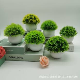 Simulated plants, fresh green plants, hemisphere potted ornaments, indoor and outdoor decoration desktop fake flowers wholesale