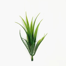 ���滨���ϻ�ˮ�ݰ������ Ҭ�Ә䎧���� ��ƺֲ��b������