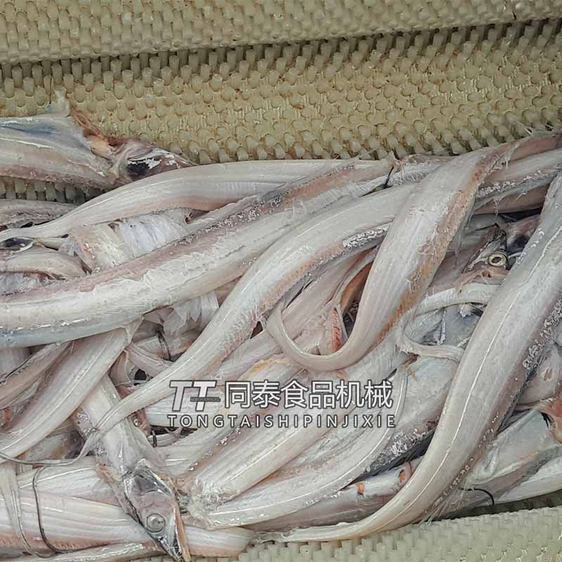 卧式毛刷辊脱鱼鳞机 毛刷去鳞机 刀鱼清洗去鳞机器