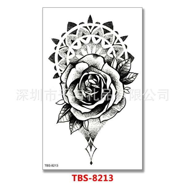TBS-8213