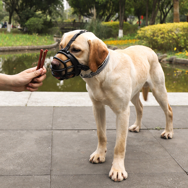 Nuevo suministro directo de fábrica suministros para mascotas perro transfronterizo hocico mascota máscara perro al por mayor anti-mordedura anti-ladridos Detener Dispositivo de la corteza