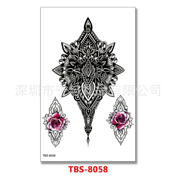 TBS-8058