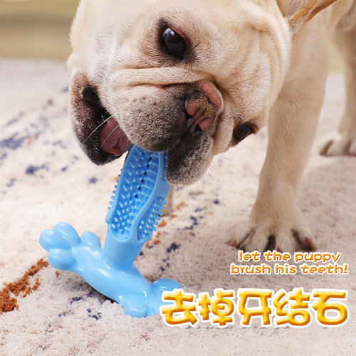 Dog toothbrush Amazon pet supplies eBay cross-border dog toothbrush molar stick silicone toy 6