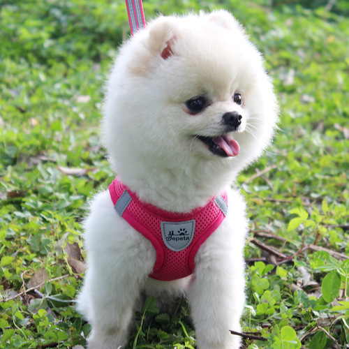 Amazon Dog Harness Dog Leash Reflective Vest Dog Chain Pet Vest Style Harness Pet Walking Supplies