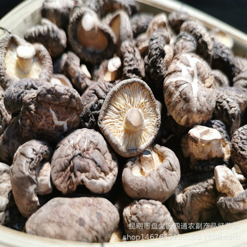 Yunnan native specialty dried mushrooms household mushrooms flower mushrooms bulk basswood mushrooms 250g