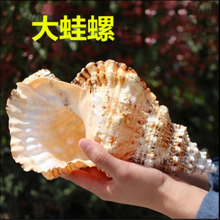 �S��ֱ�N ������ �~��ˮ�����쾰 ��Ȼؐ��  ���� ���� �Ҿ��b�
