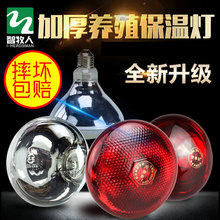 兽用养殖场保温灯小猪仔猪取暖保温灯鸡鸭鹅节能防水保温灯泡小鸡