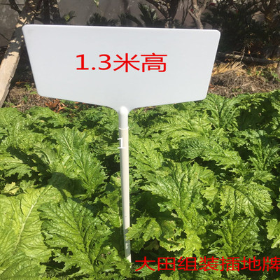 加厚加高塑料大号立体园艺插地牌园艺标签标识牌指示牌全景插地牌|ms