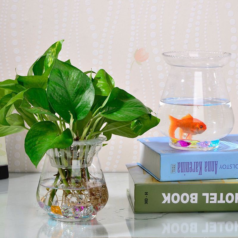 15 Calabaza de cera pequeño tanque de peces dorados pequeño acuario súper sala de estar de vidrio blanco tanque de paja de agua ecológica tanque de peces tanque de tortuga