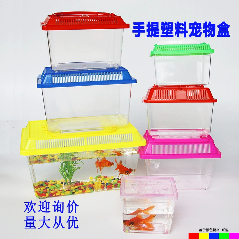 Стойка портативный пластиковый Аквариум Черепаха банка маленькая рыба Улитка паук хомяк Золотой медведь гусеничный ящик для кормления домашних животных