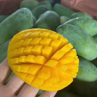 ˮ������M��С��ââ�����l10��̨�r�F��â����â���ֱ�l��֭