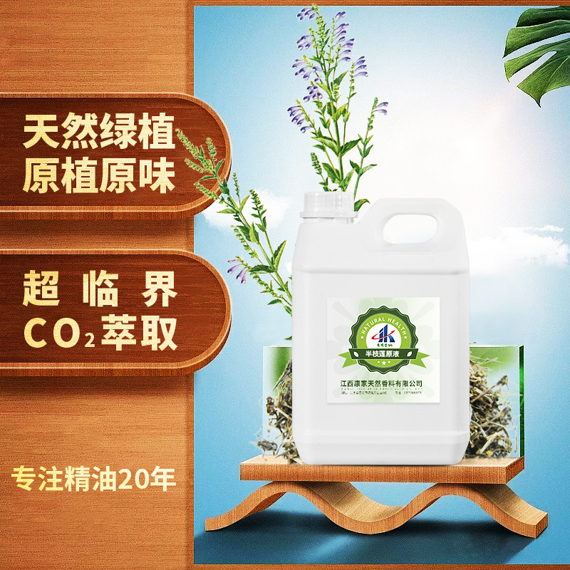 厂家批发  半枝莲提取液 萃取原液 植物提取液 现做现发新鲜货