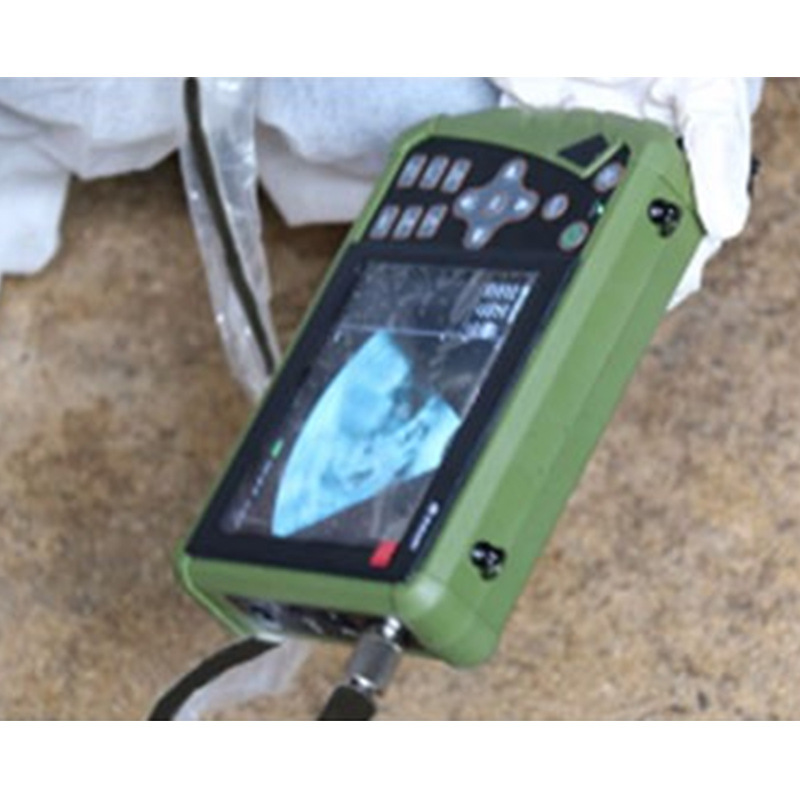 Gran veterinario B-ultrasonido máquina portátil Cerda prueba de embarazo instrumento cerdo ganado caballo ultrasonido ganado oveja prueba de embarazo ultrasónico
