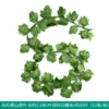 36 slices of sweet potato leaves 1 pack (12 pieces)
