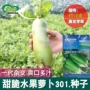 农田水果萝卜蔬菜籽