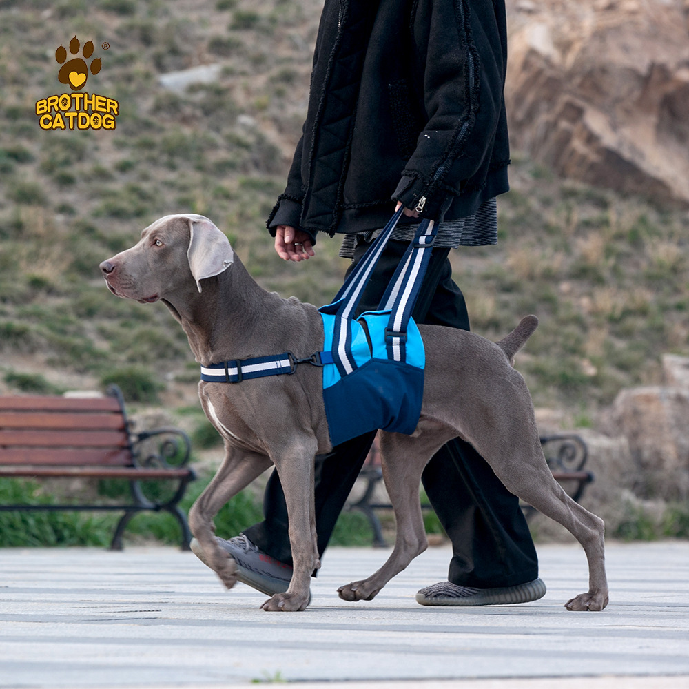 跨境热销宠物辅助安全带 可调节导盲犬康复牵引带 残疾狗狗辅助带