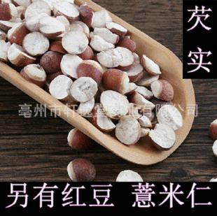 ���l��ș�� �͌� �͌��� ��׼10���͌� �u���� ���M��� ޲����