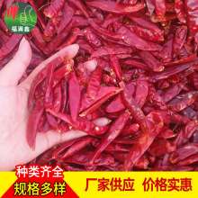 ���콷�{ζƷ���� �������ȥ�Ѳ��偵������� ���콷���l