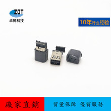 mini dpĸ�^���� ����DP 20pĸ�ԄӺ����o�׼��a���־����B����