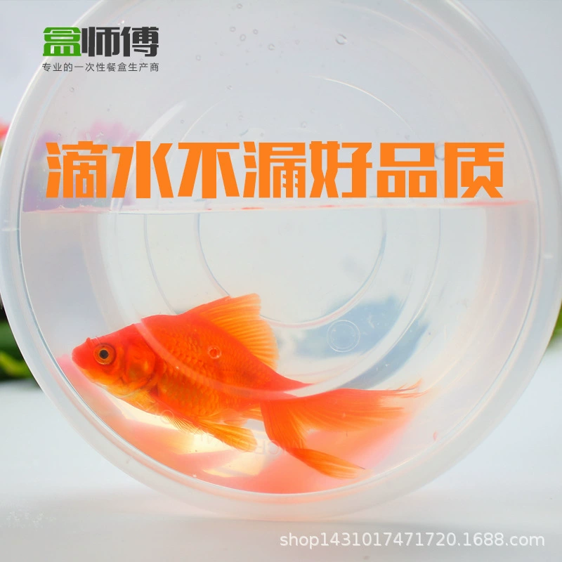 盒师傅 Одноразовая ланч-бокс коробка для доставки, ланч-бокс для фастфуда, овальная пластиковая прозрачная упаковка производителя оптом