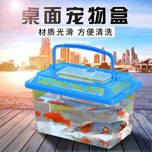 透明塑料乌龟盒 宠物盒爬虫饲养盒 中号手提式生态金鱼缸 运输盒