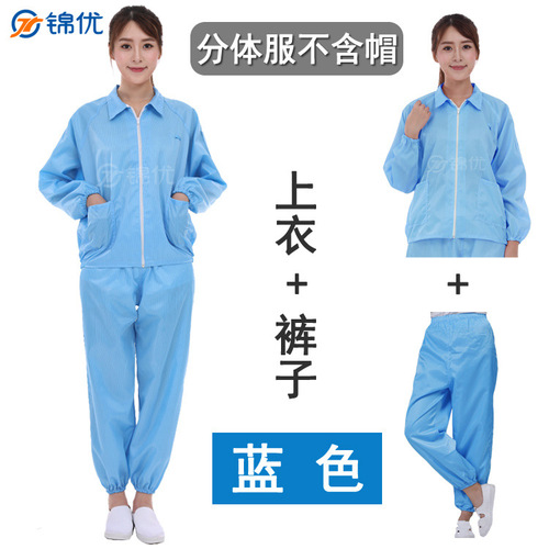 Factory Dustproof Coverall with Hood, Separate Style Anti-static Suit, Whole-body Dustproof Anti-static Protective Workwear