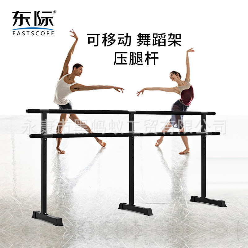Dongji Dance Barre - Home Portable Dance Studio Bar for Children, Dance Practice Bar, Leg Press Bar (Metal)
