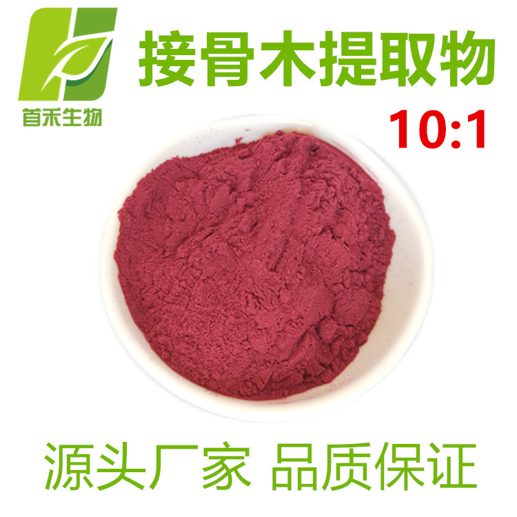 接骨木提取物10:1 接骨木  另有20:1 源头厂家 厂家现货 首禾