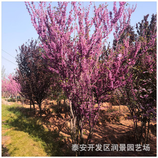 ��ُ3����4����5����6�������G��r�� ���ع��� �ΗU�������G