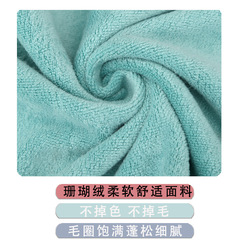 Thickened 5-pack Vlogger Style Youthful Towels Super Fine Fiber Soft Quick Absorb Logo