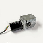厂家供应减速电机 无刷蜗轮蜗杆减速电机12v24v来图可定制电机