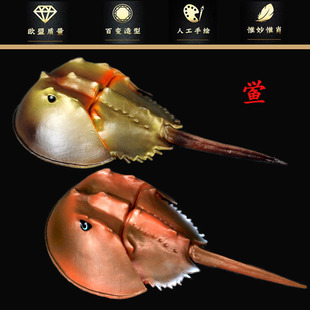 ���挍�ĺ������A�cҰ����������ģ���R��з�����c�~���z���