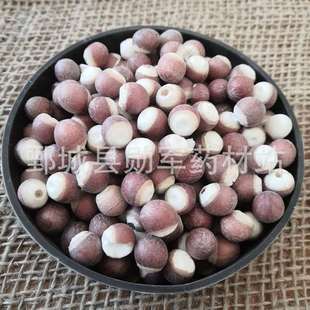 �͌����r �͌��� �͌��� �͌��� �͌���  �S��ֱ�N ���NҎ��