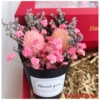 Black card pink color burrs (no gift box)