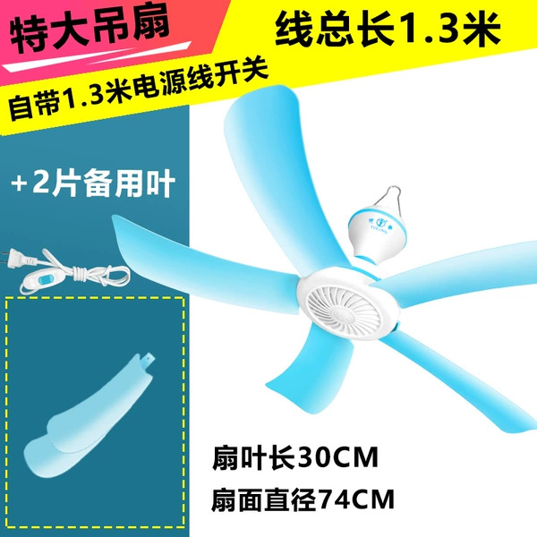 Extraval fan+2 leaves